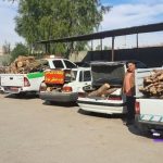 توقیف شش دستگاه خودرو حامل چوب درختان جنگلی و زغال در شهرستان جهرم