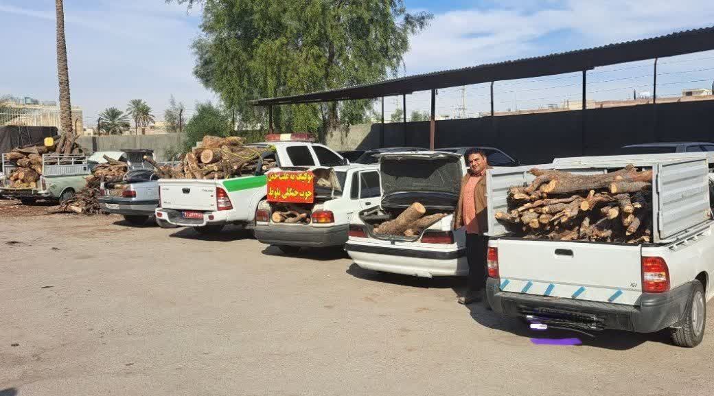 توقیف شش دستگاه خودرو حامل چوب درختان جنگلی و زغال در شهرستان جهرم
