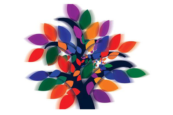 انتخابات دو انجمن‌ هنری شهرستان جهرم برگزار شد.